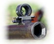 Whitworth Rifle